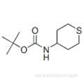 Karbaminsyra, (57190544, tetrahydro-2H-tiopyran-4-yl) -, 1,1-dimetyletylester (9CI) CAS 595597-00-5